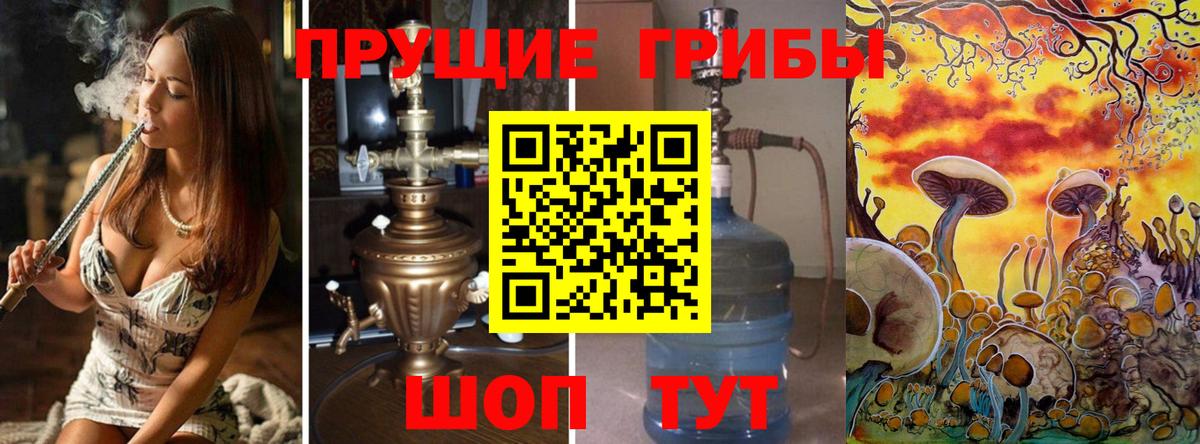как найти   Псилоцибиновые грибы Psilocybine cubensis  Вход с VPN  Усинск 